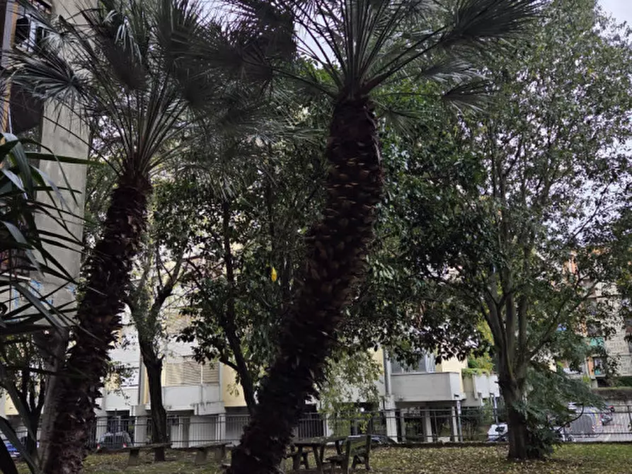 Immagine 25 di Appartamento in vendita  in Via dell'Argingrosso a Firenze