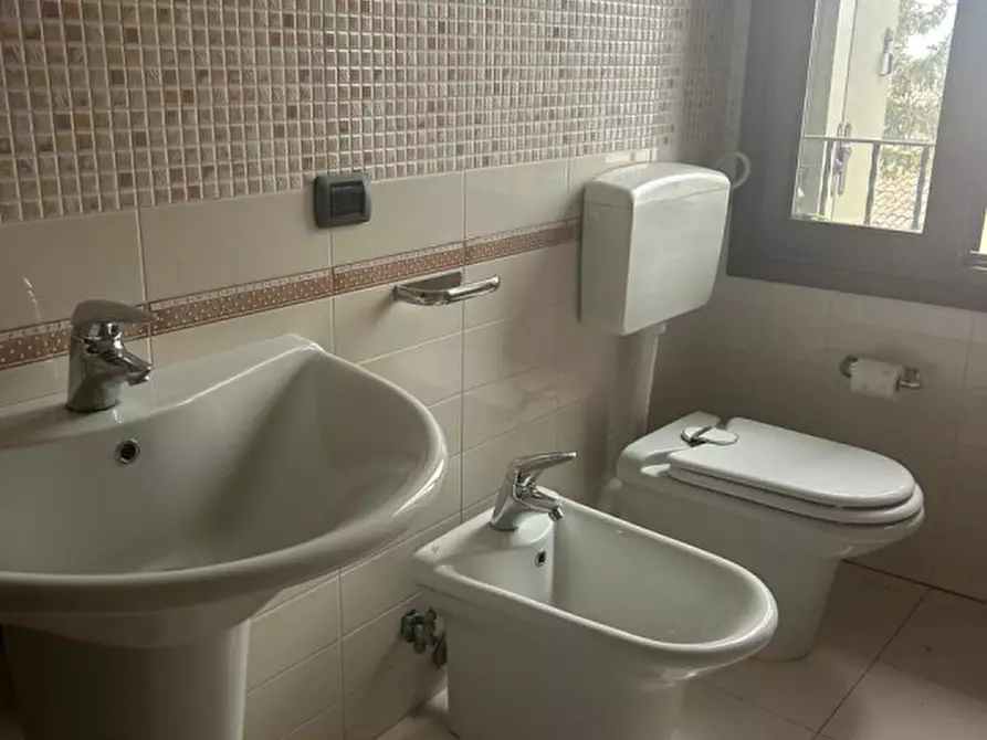 Immagine 13 di Appartamento in vendita  a Badia Polesine