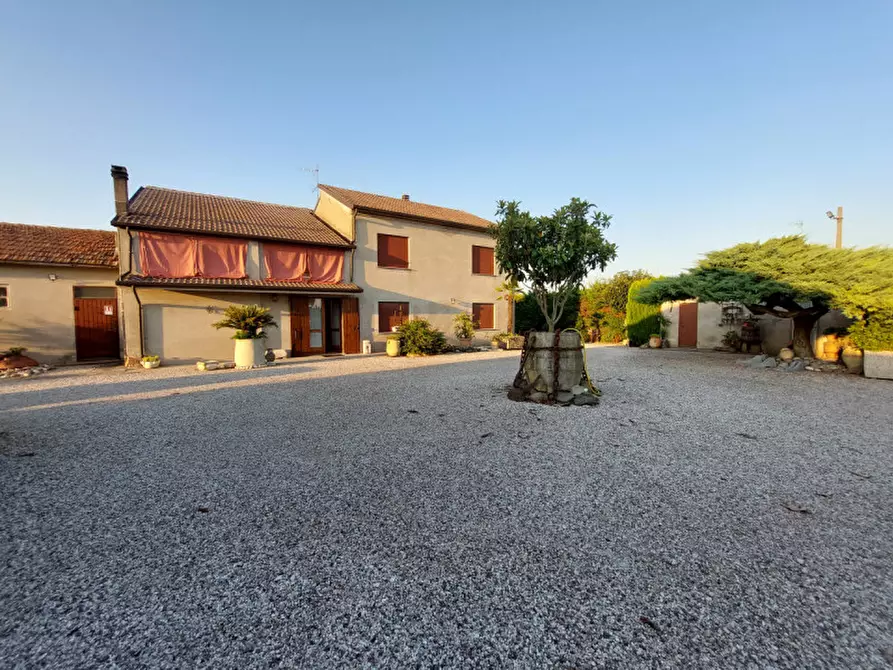 Immagine 1 di Rustico / casale in vendita  a Badia Polesine