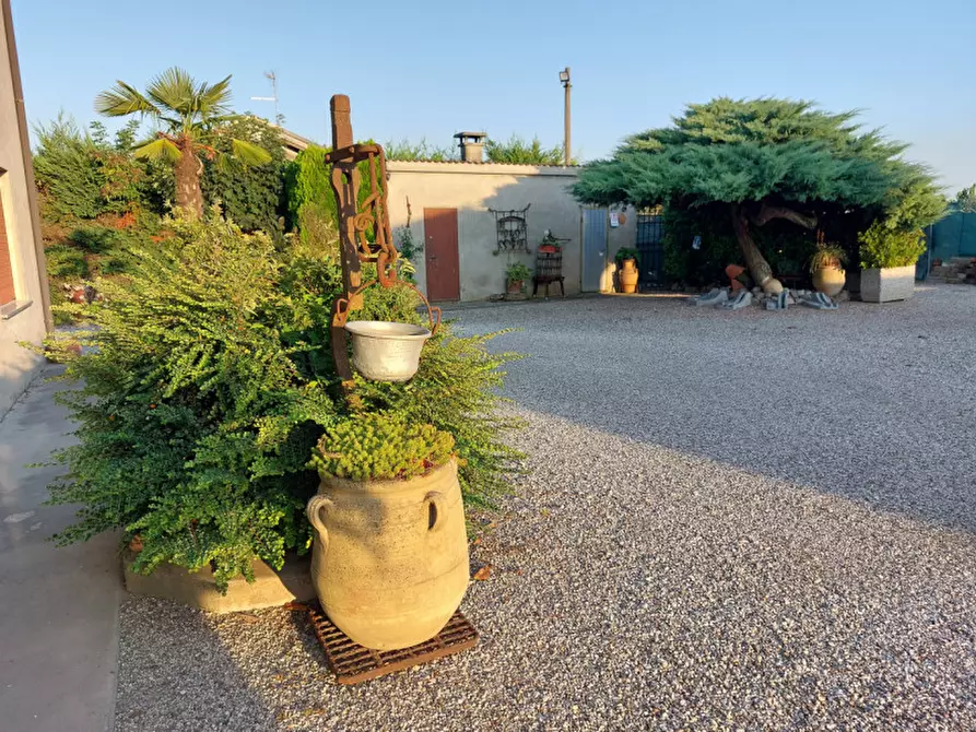 Immagine 2 di Rustico / casale in vendita  a Badia Polesine
