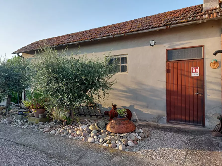 Immagine 21 di Rustico / casale in vendita  a Badia Polesine