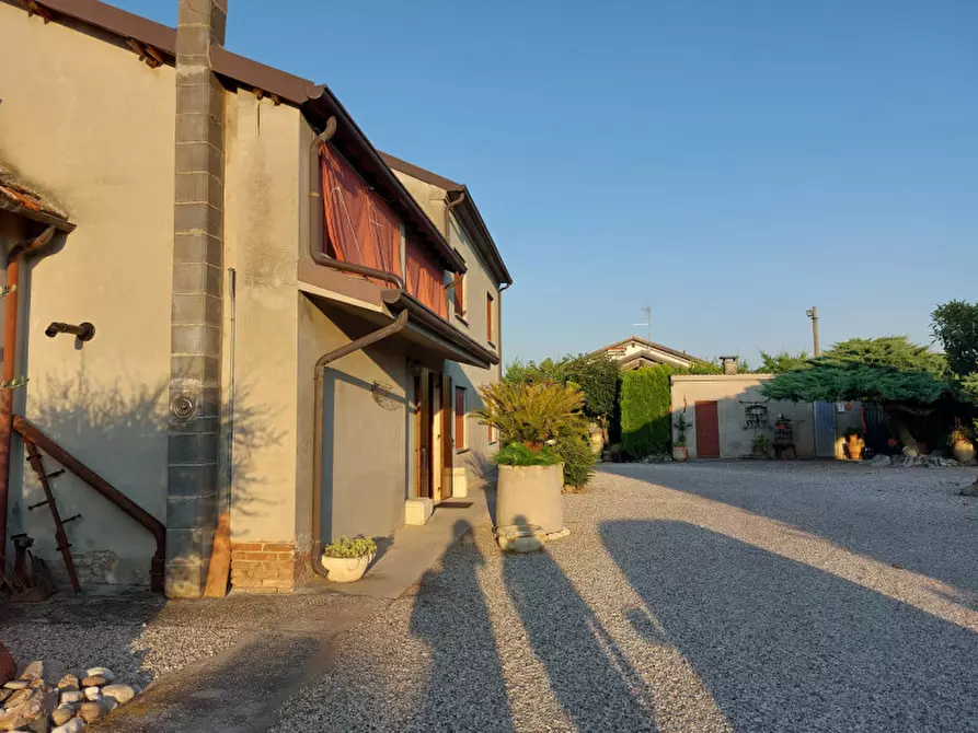 Immagine 22 di Rustico / casale in vendita  a Badia Polesine