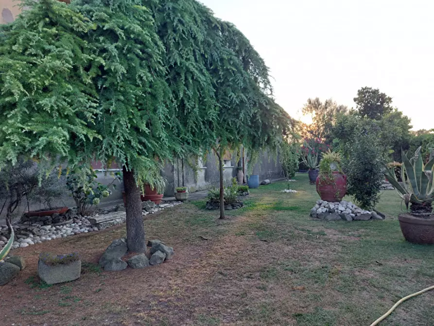 Immagine 23 di Rustico / casale in vendita  a Badia Polesine