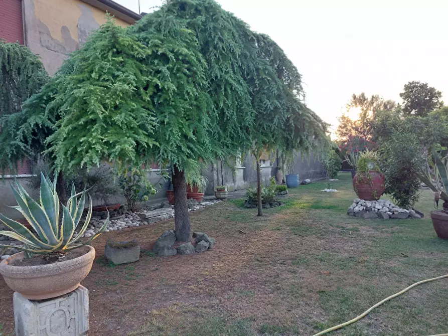 Immagine 24 di Rustico / casale in vendita  a Badia Polesine