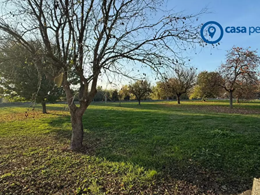 Immagine 11 di Villa in vendita  in via carri 655 a Bosaro