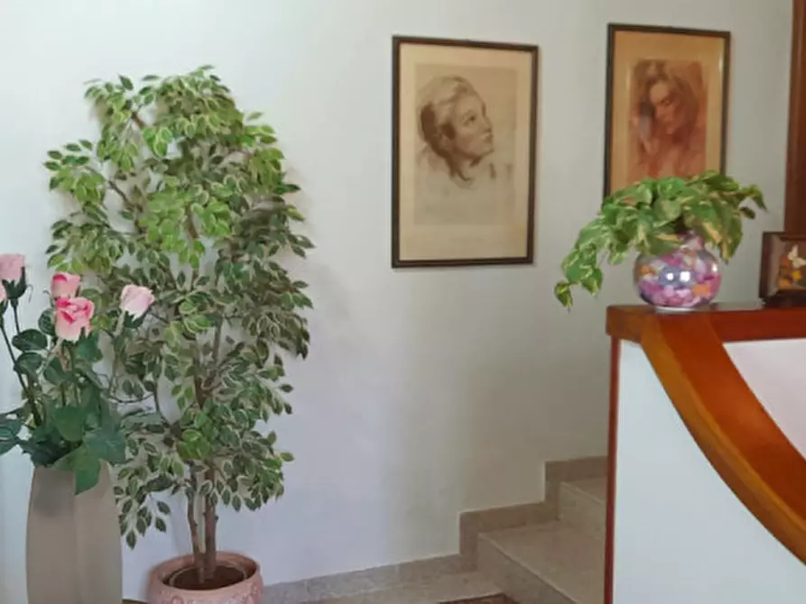 Immagine 6 di Appartamento in vendita  a Castelbaldo