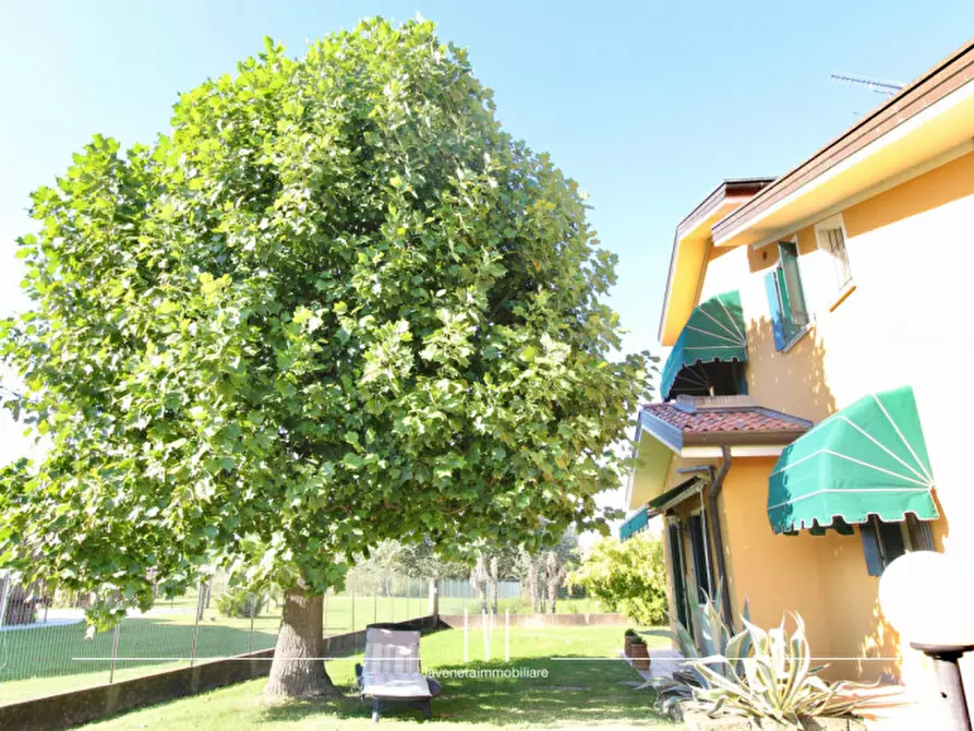 Immagine 53 di Villa in vendita  in Via Località Sant'Elena 33 a Torre Di Mosto