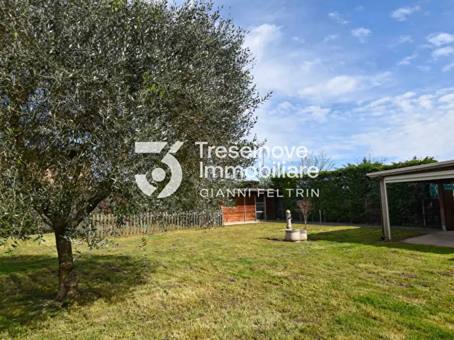 Immagine 39 di Casa bifamiliare in vendita  in Via San Giovanni a Carmignano Di Brenta