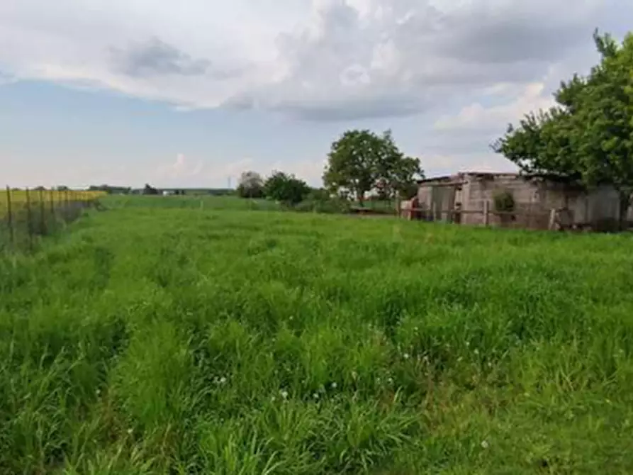 Immagine 24 di Villetta a schiera in vendita  in Via Spin 14 a Nogara