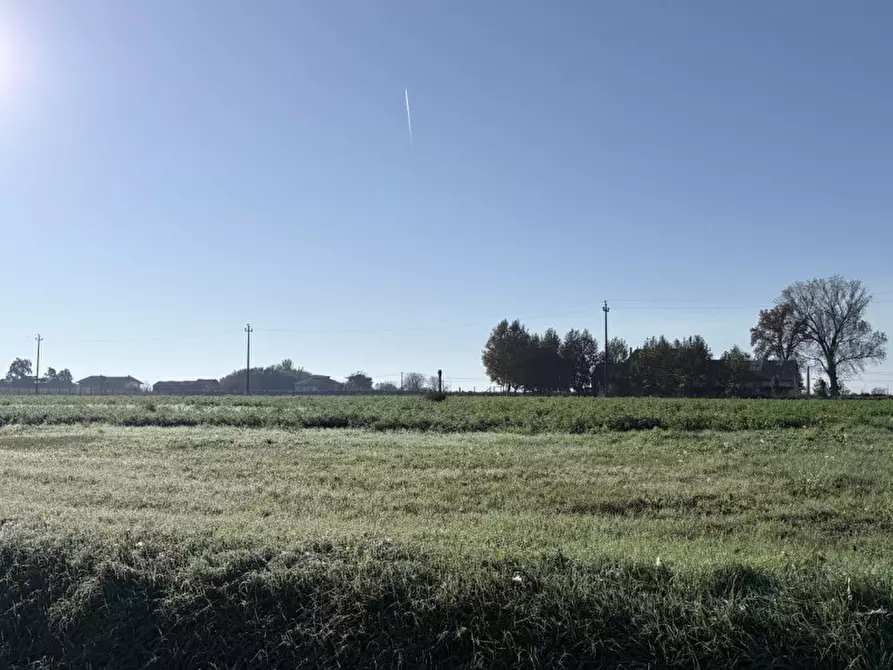 Immagine 3 di Terreno in vendita  in via marezzane di sopra a Arcole