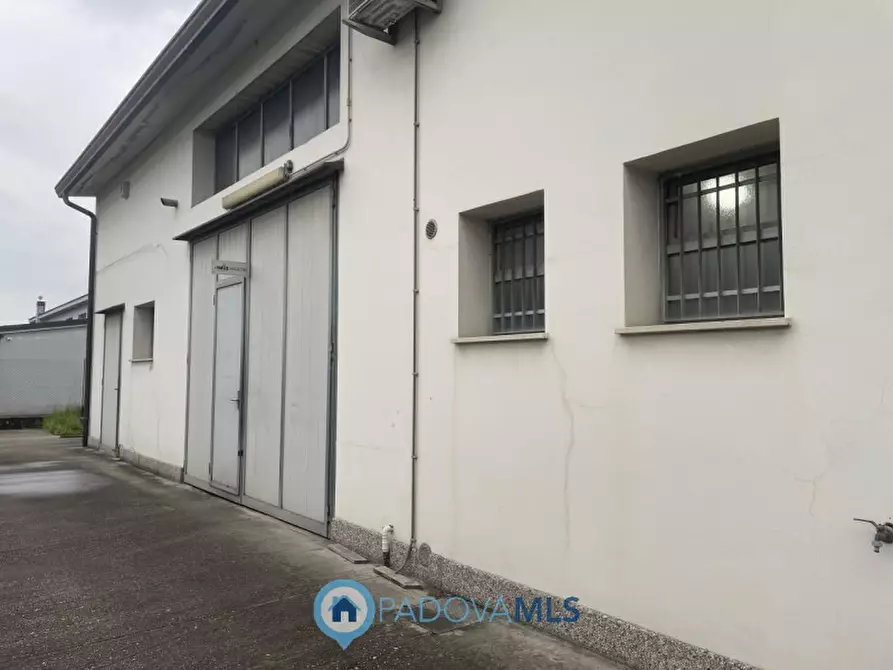 Immagine 5 di Magazzino in vendita  in VIA VISCO a Limena