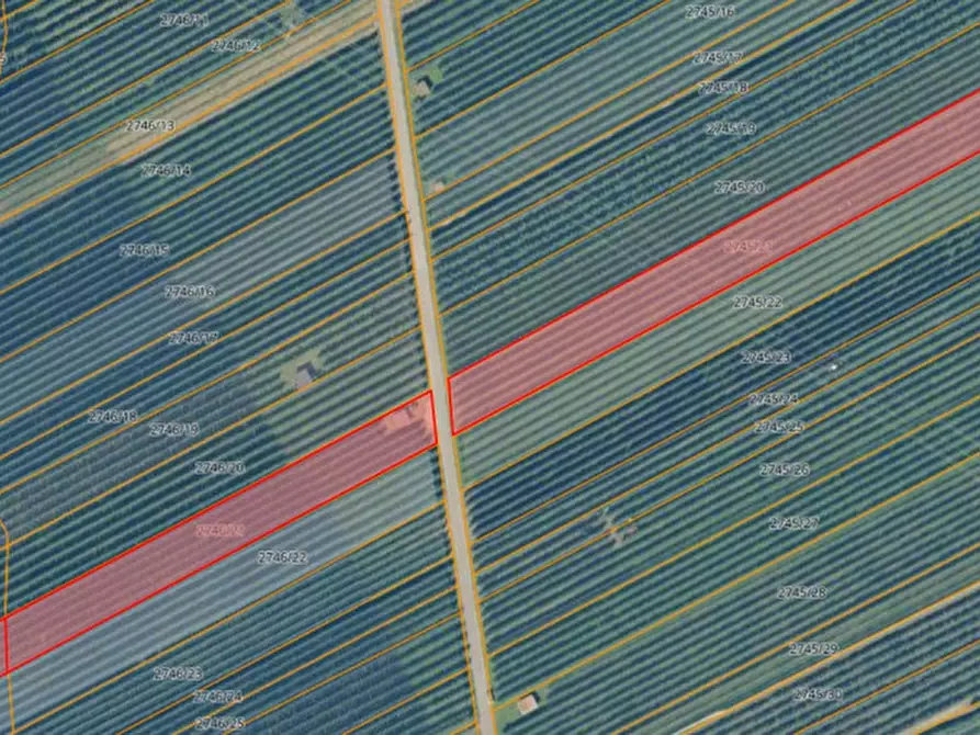 Immagine 10 di Rustico / casale in vendita  a Lana .Lana.