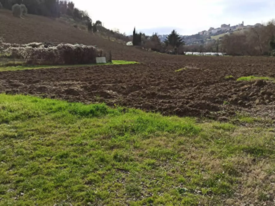 Immagine 3 di Terreno in vendita  in CONTRADA MORICA a Macerata