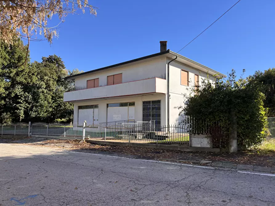 Immagine 1 di Magazzino in affitto  in Via Colloredo a Sossano