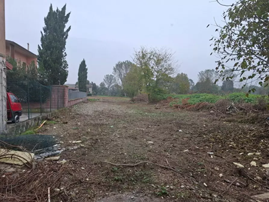 Immagine 3 di Terreno in vendita  in Via Dossi, N. snc a Milzano
