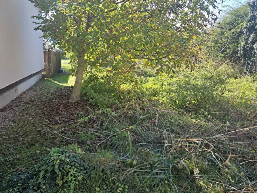 Immagine 3 di Rustico / casale in vendita  a Casale Di Scodosia