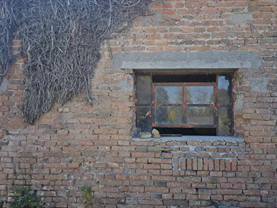 Immagine 4 di Rustico / casale in vendita  a Casale Di Scodosia