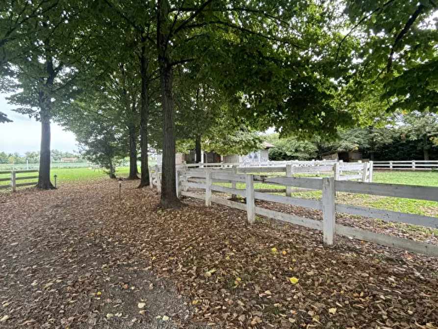 Immagine 6 di Villa in vendita  in via guizze alte a Loreggia