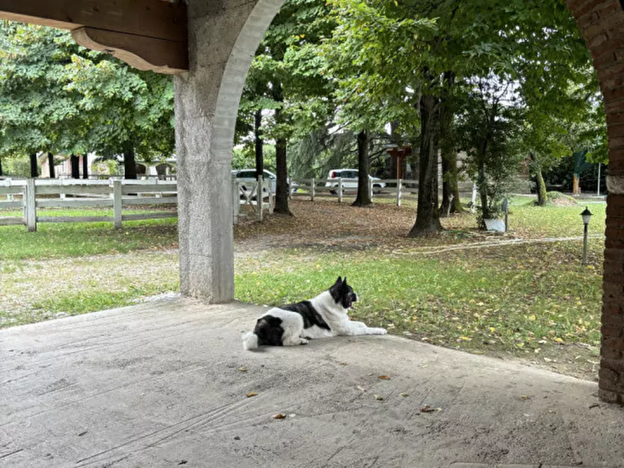 Immagine 9 di Villa in vendita  in via guizze alte a Loreggia