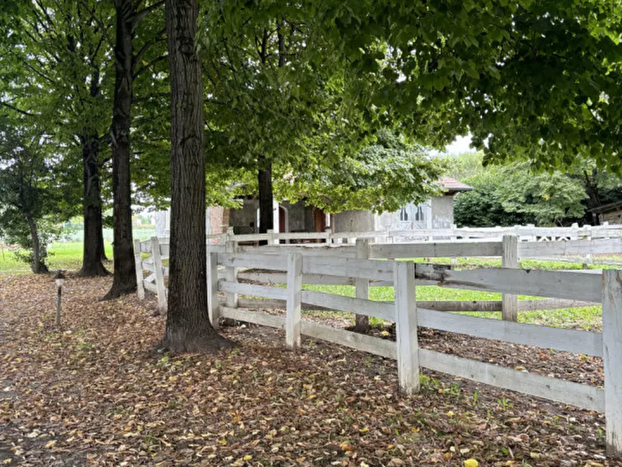 Immagine 22 di Villa in vendita  in via guizze alte a Loreggia