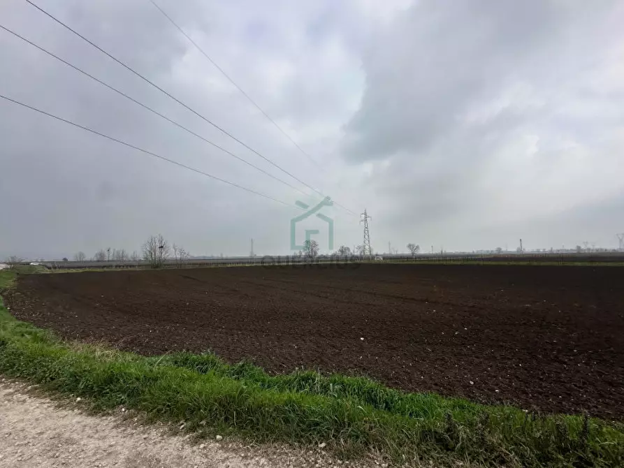 Immagine 1 di Terreno in vendita  in Strada Provinciale Porcilana a San Bonifacio