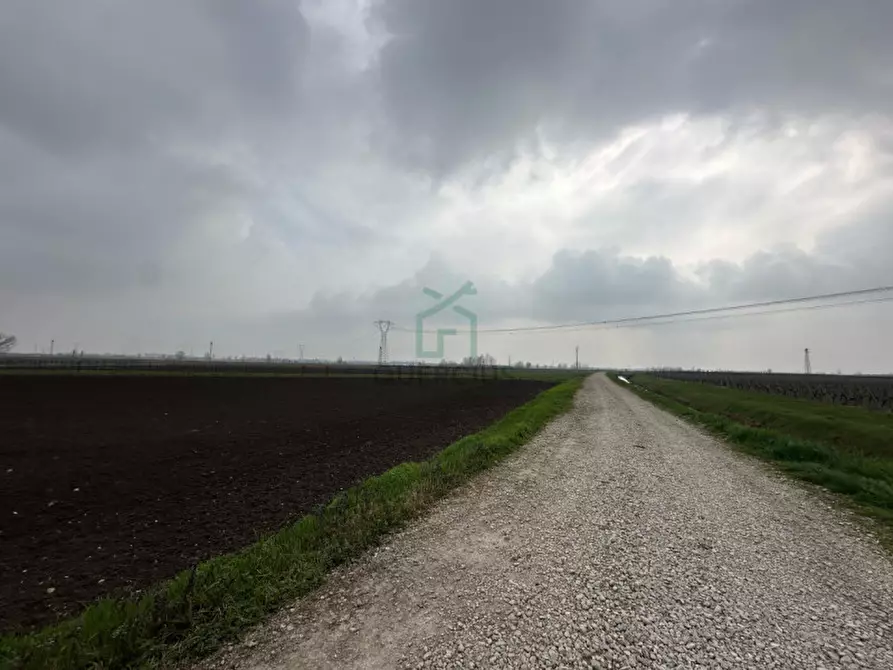 Immagine 2 di Terreno in vendita  in Strada Provinciale Porcilana a San Bonifacio
