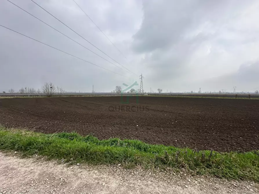 Immagine 3 di Terreno in vendita  in Strada Provinciale Porcilana a San Bonifacio