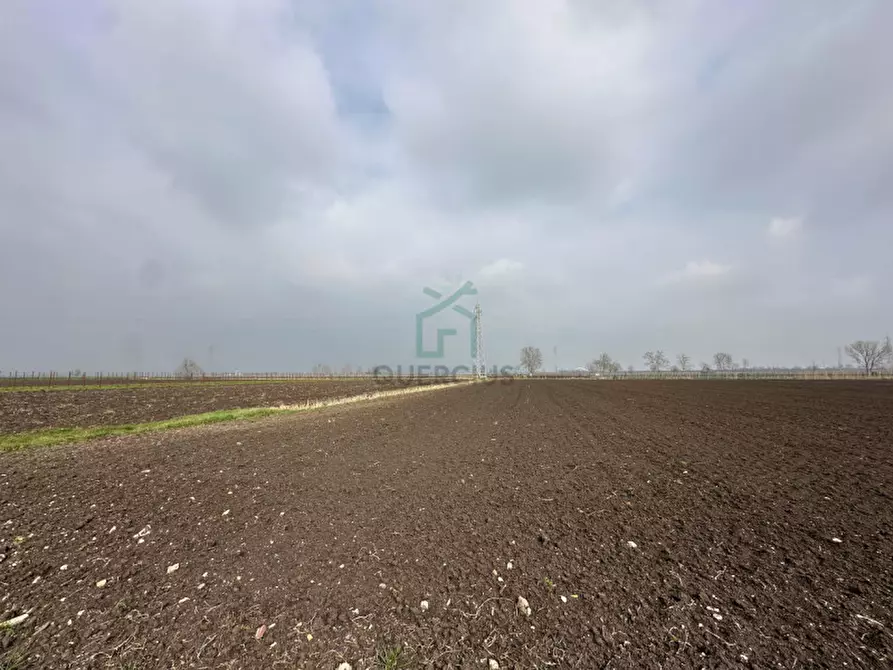 Immagine 4 di Terreno in vendita  in Strada Provinciale Porcilana a San Bonifacio