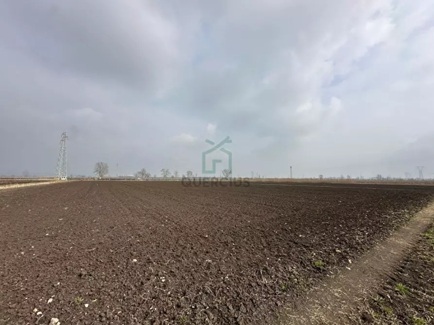 Immagine 5 di Terreno in vendita  in Strada Provinciale Porcilana a San Bonifacio