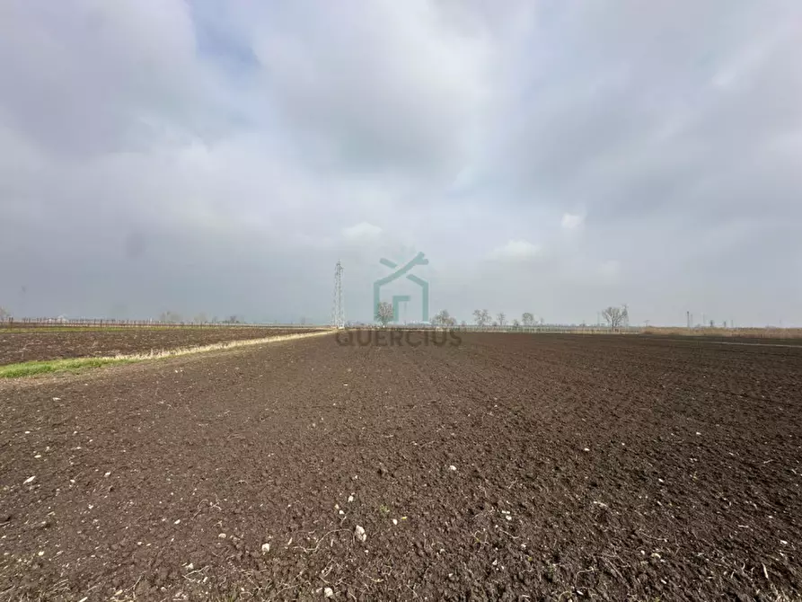 Immagine 6 di Terreno in vendita  in Strada Provinciale Porcilana a San Bonifacio