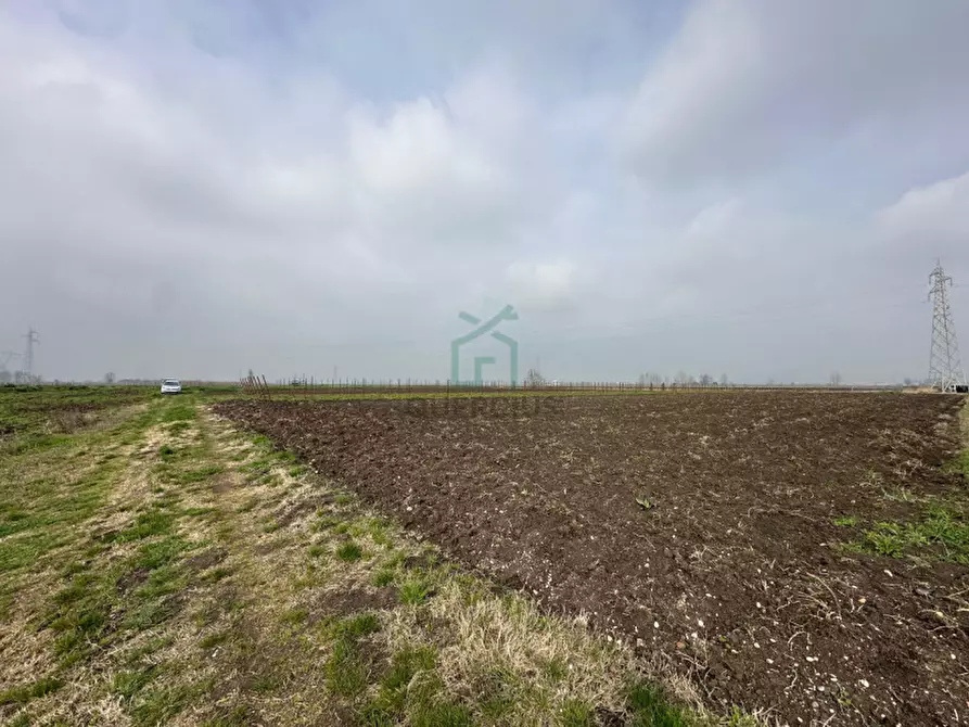Immagine 7 di Terreno in vendita  in Strada Provinciale Porcilana a San Bonifacio