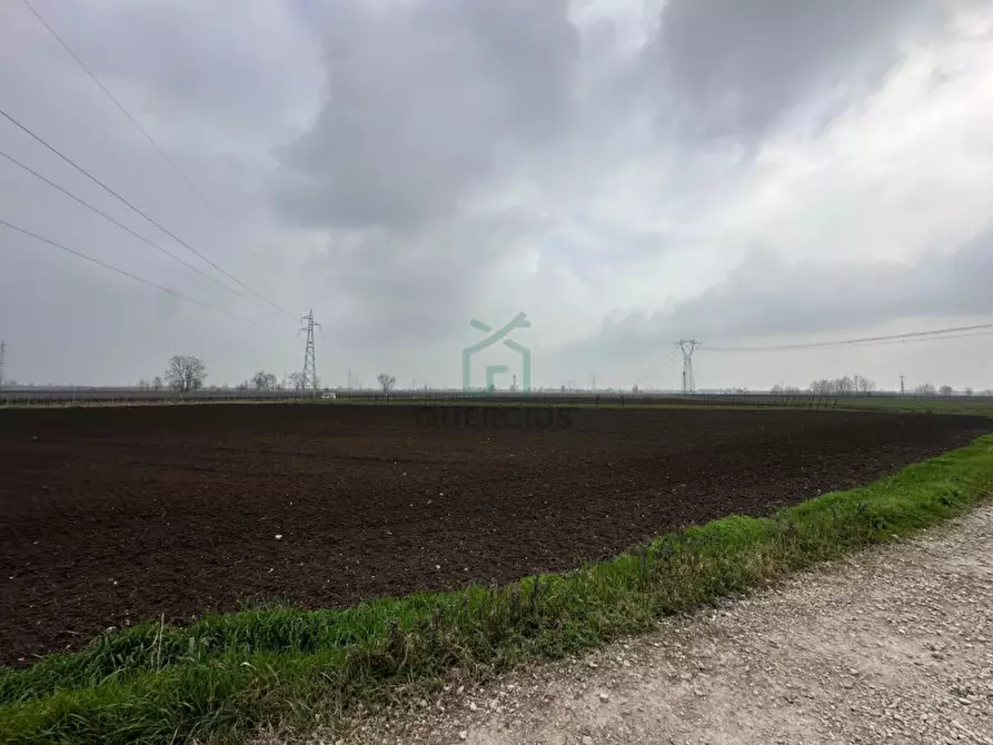 Immagine 8 di Terreno in vendita  in Strada Provinciale Porcilana a San Bonifacio