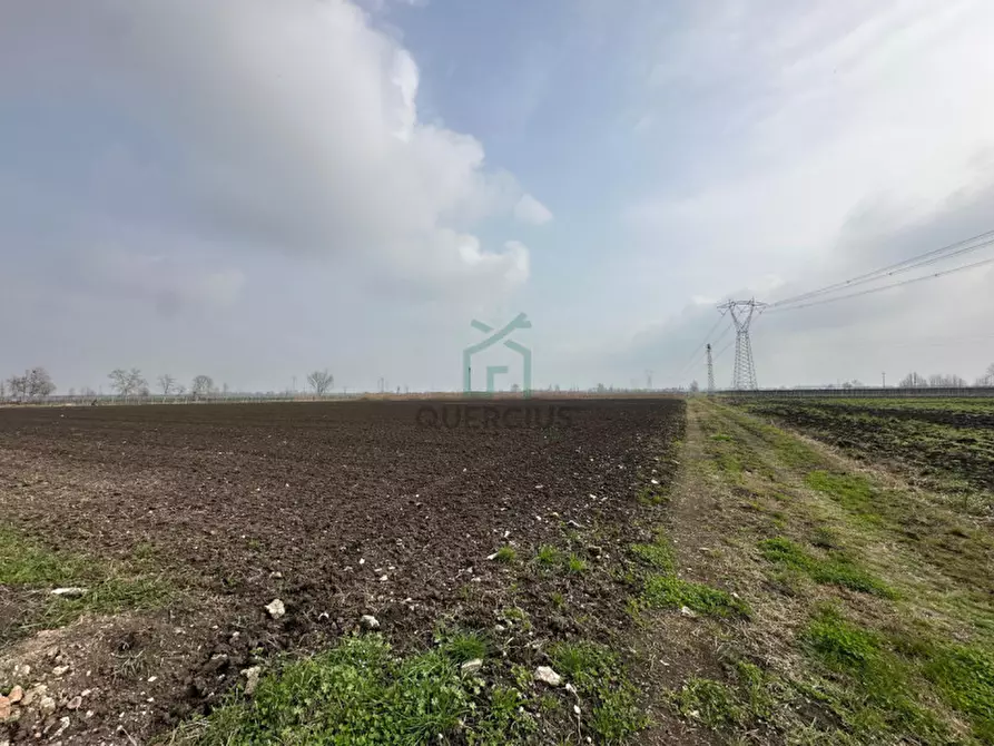 Immagine 9 di Terreno in vendita  in Strada Provinciale Porcilana a San Bonifacio