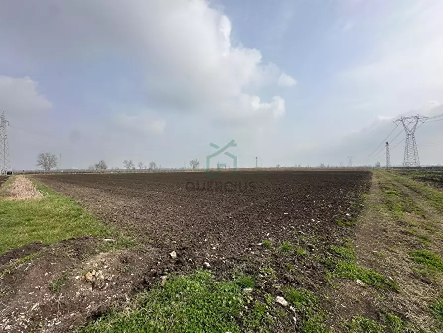 Immagine 10 di Terreno in vendita  in Strada Provinciale Porcilana a San Bonifacio