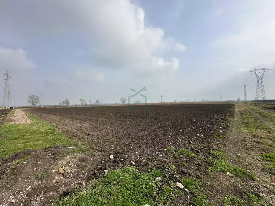Immagine 11 di Terreno in vendita  in Strada Provinciale Porcilana a San Bonifacio