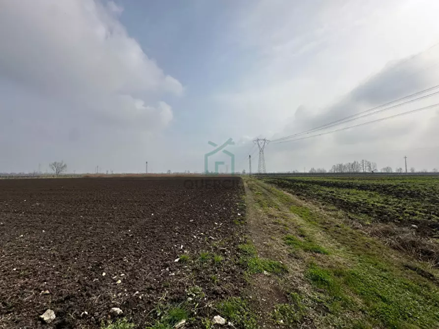 Immagine 12 di Terreno in vendita  in Strada Provinciale Porcilana a San Bonifacio