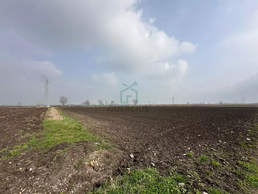 Immagine 13 di Terreno in vendita  in Strada Provinciale Porcilana a San Bonifacio