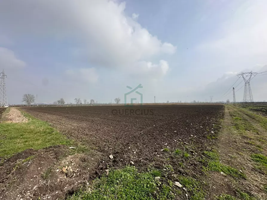 Immagine 14 di Terreno in vendita  in Strada Provinciale Porcilana a San Bonifacio