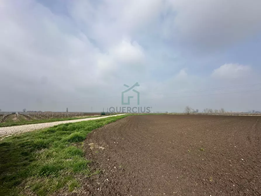 Immagine 18 di Terreno in vendita  in Strada Provinciale Porcilana a San Bonifacio