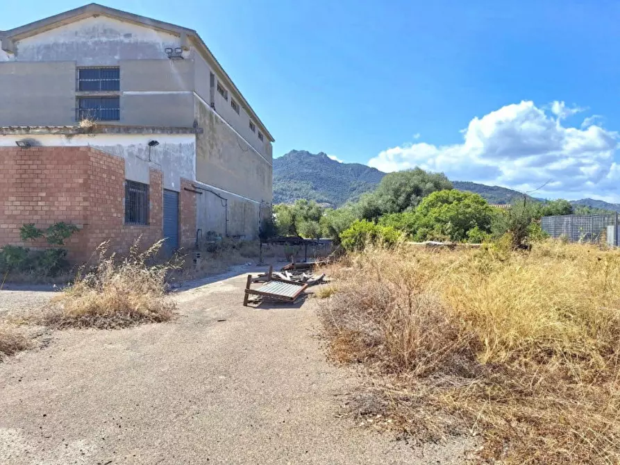 Immagine 8 di Agriturismo in vendita  in Via Tevere, 09010 Pula CA, Italia a Pula