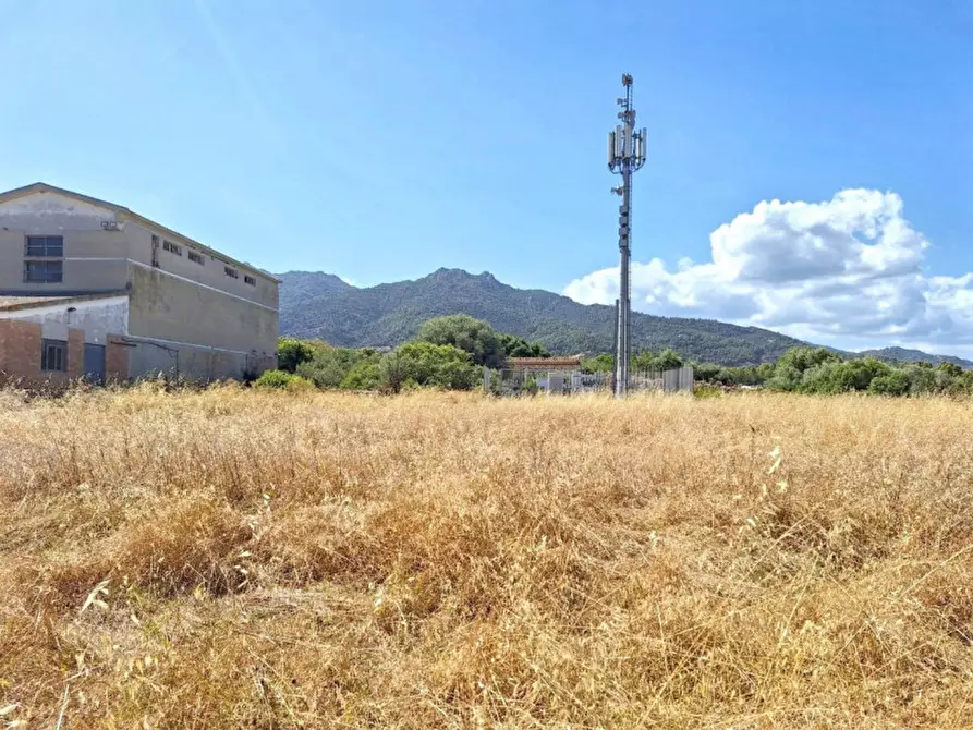 Immagine 9 di Agriturismo in vendita  in Via Tevere, 09010 Pula CA, Italia a Pula