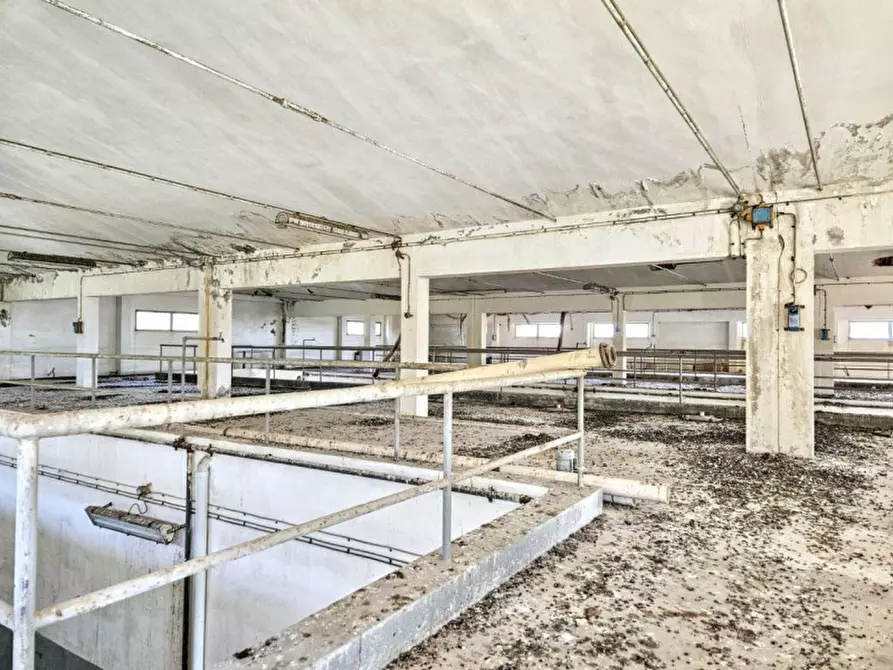 Immagine 13 di Agriturismo in vendita  in Via Tevere, 09010 Pula CA, Italia a Pula