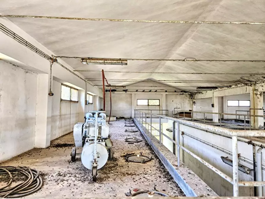 Immagine 14 di Agriturismo in vendita  in Via Tevere, 09010 Pula CA, Italia a Pula