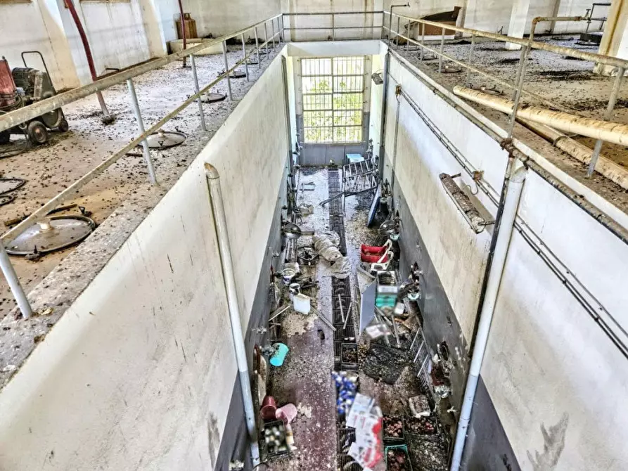 Immagine 15 di Agriturismo in vendita  in Via Tevere, 09010 Pula CA, Italia a Pula