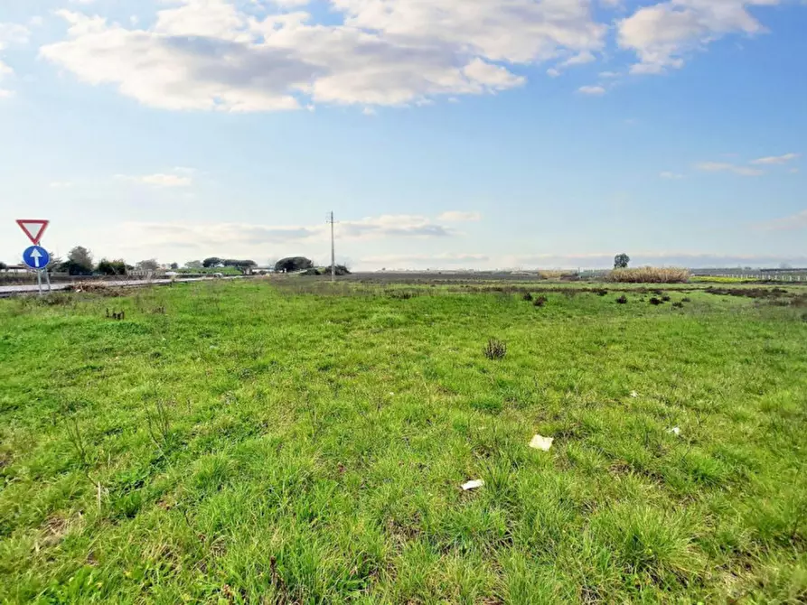 Immagine 3 di Terreno in vendita  in Strada Regionale 148 Pontina, N. snc a Latina