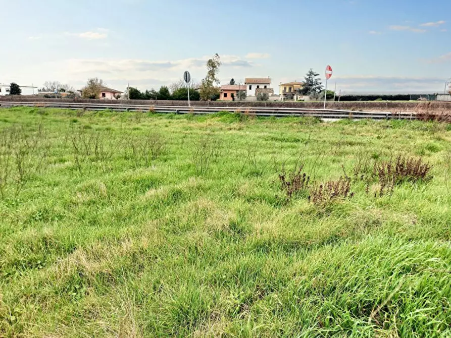 Immagine 4 di Terreno in vendita  in Strada Regionale 148 Pontina, N. snc a Latina