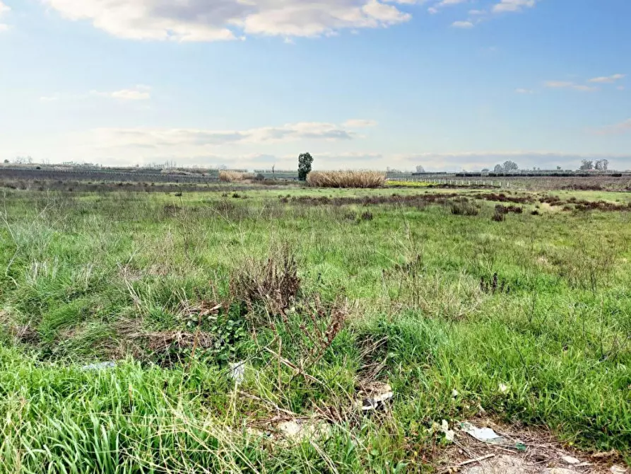 Immagine 5 di Terreno in vendita  in Strada Regionale 148 Pontina, N. snc a Latina