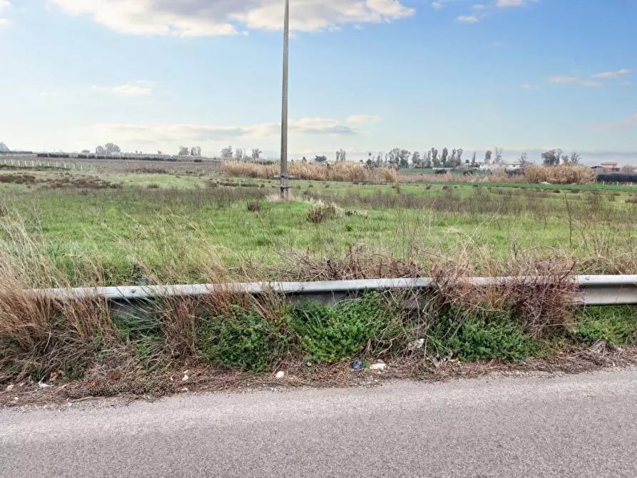 Immagine 6 di Terreno in vendita  in Strada Regionale 148 Pontina, N. snc a Latina