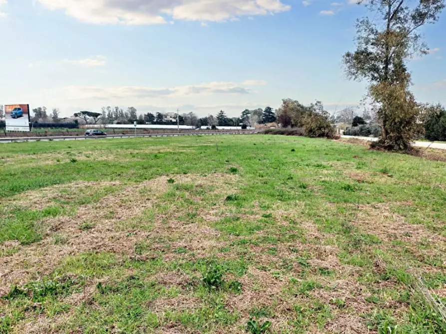 Immagine 7 di Terreno in vendita  in Strada Regionale 148 Pontina, N. snc a Latina