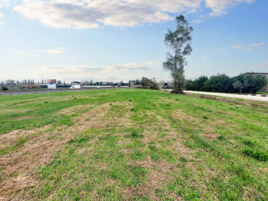 Immagine 10 di Terreno in vendita  in Strada Regionale 148 Pontina, N. snc a Latina
